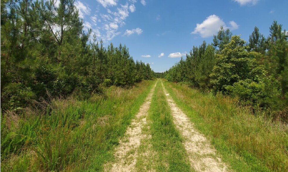 2 Anderson Rd, Stony Creek, VA 23882