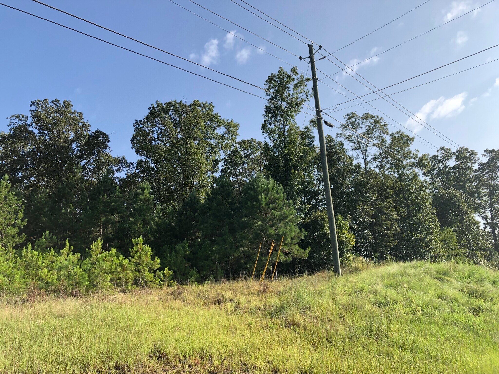 Highway 20, Cartersville, GA for sale Primary Photo- Image 1 of 1
