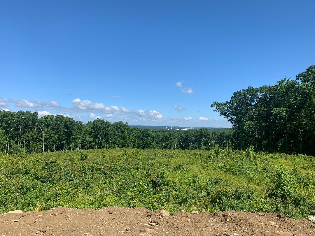 61 Deerwood Dr, Killingly, CT 06239 Briarwood Falls, Phases III & IV