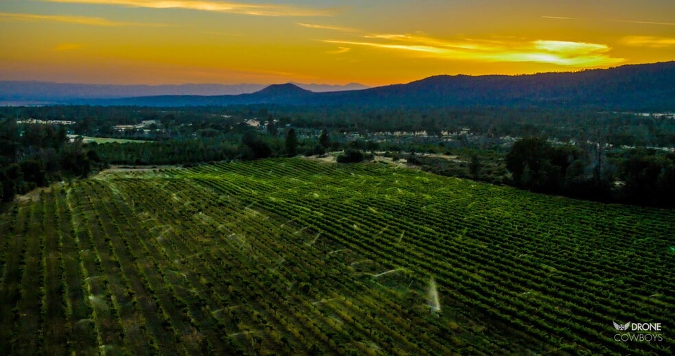 31630 Forwards Rd, Manton, CA for sale - Building Photo - Image 2 of 76