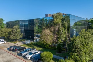 More details for 719 Sawdust Rd, The Woodlands, TX - Office for Lease
