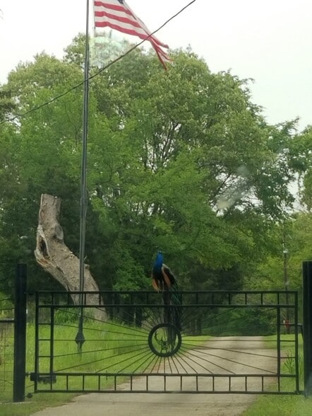 10774 County Road 494, Tyler, TX for sale - Primary Photo - Image 1 of 18