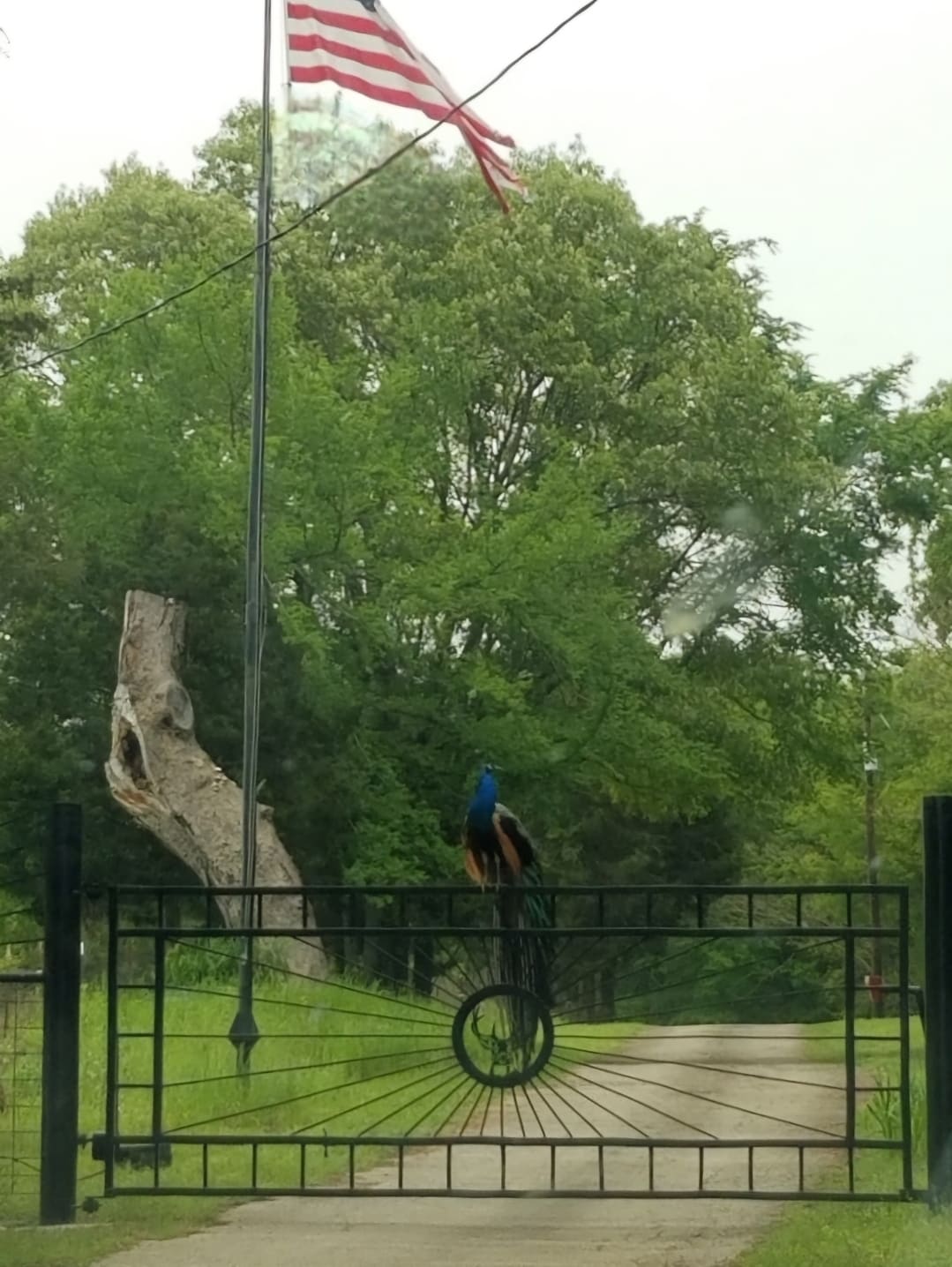 10774 County Road 494, Tyler, TX for sale Primary Photo- Image 1 of 19