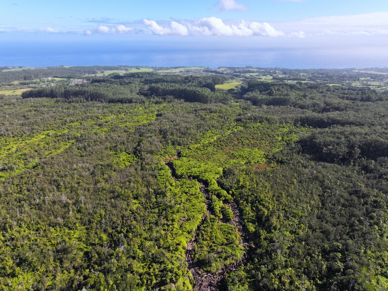 29-773 Chin Chuck Rd, Hakalau, HI for sale - Primary Photo - Image 1 of 4