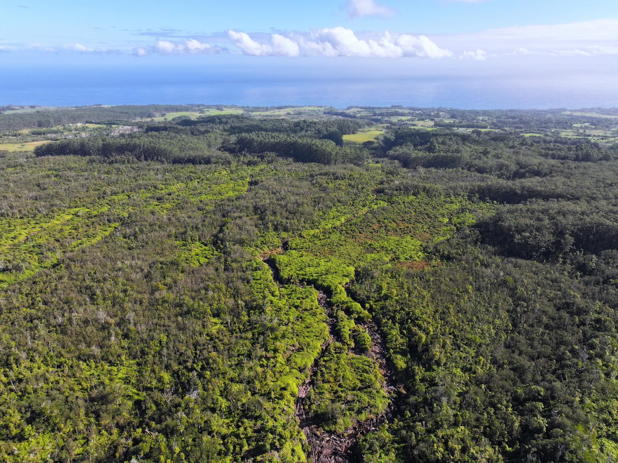 29-773 Chin Chuck Rd, Hakalau, HI for sale Primary Photo- Image 1 of 5