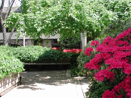 View Photo