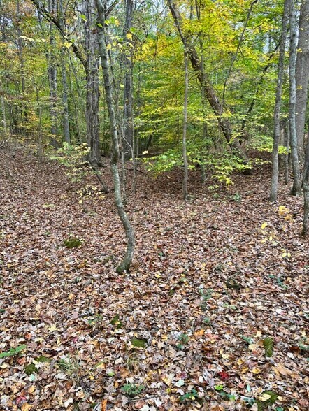 Baugh Mountain, Sugar Valley, GA for sale - Primary Photo - Image 1 of 1