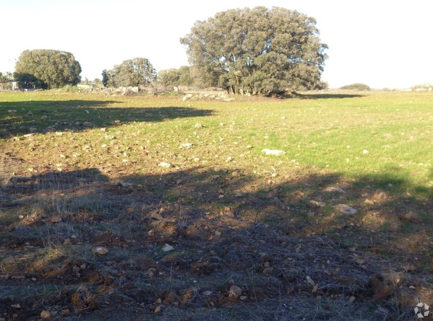 Land in Pozuelo del Rey, Madrid for sale Primary Photo- Image 1 of 1