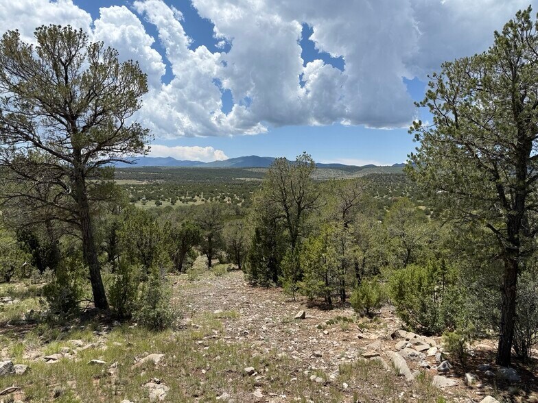 44 Forest 321 Rd, Estancia, NM for sale - Building Photo - Image 2 of 32