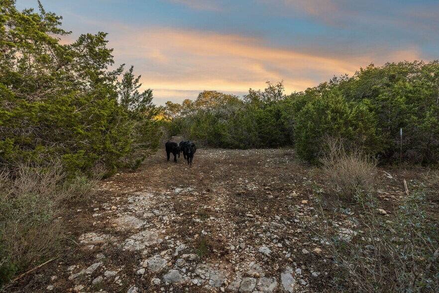 678 Ammann Road, Bulverde, TX for sale - Building Photo - Image 3 of 21