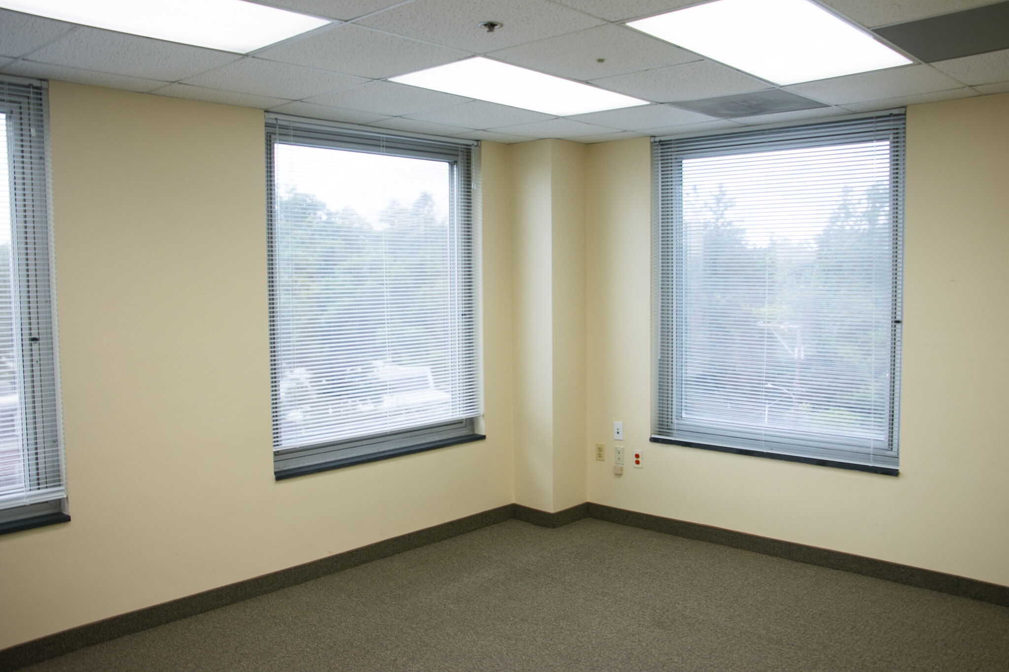 6930 Carroll Ave, Takoma Park, MD for lease Interior Photo- Image 1 of 4