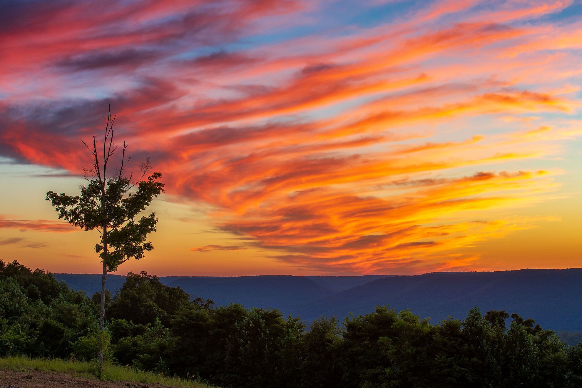 Glenobey Rd, Jamestown, TN for sale Primary Photo- Image 1 of 7