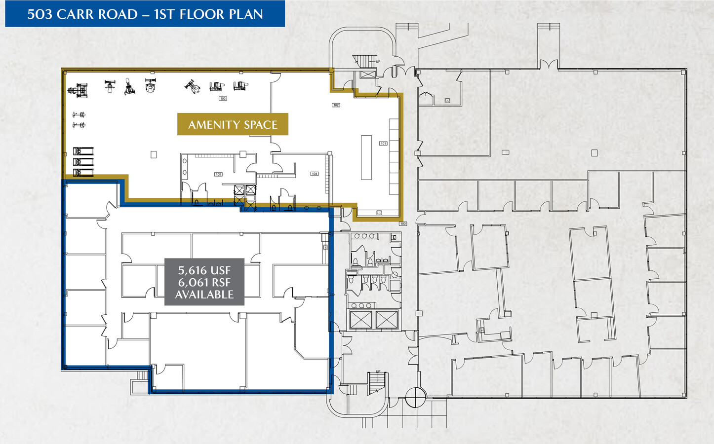 501 Carr Rd, Wilmington, DE, 19809 - Office Space For Lease | LoopNet.com