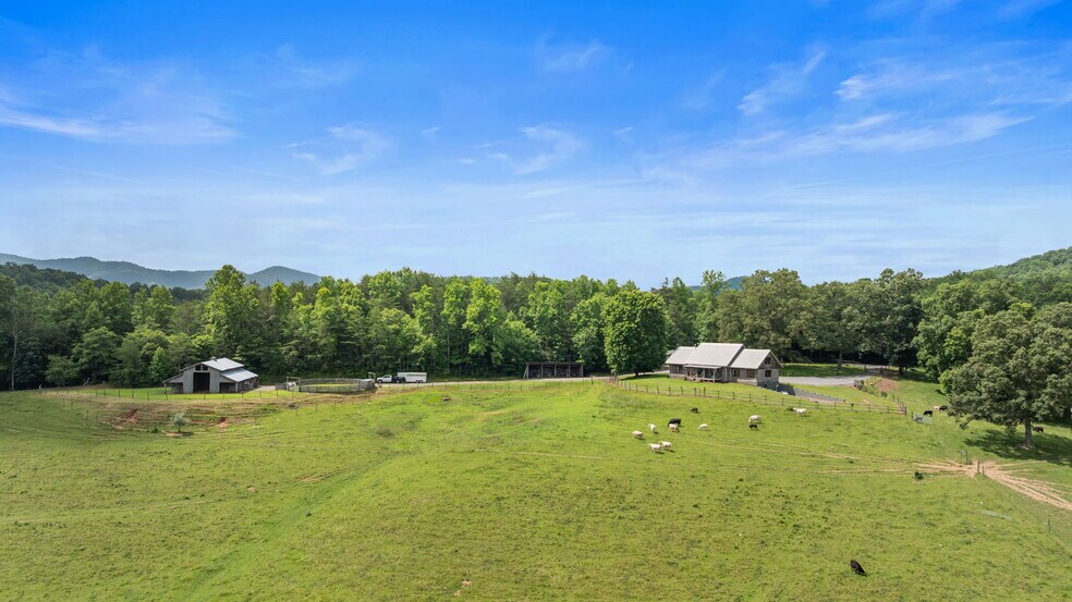 102 Cross Creek Ln, Warne, NC for sale - Building Photo - Image 1 of 33