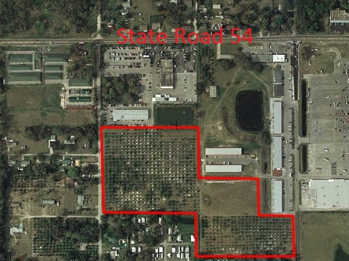 4811 Allen Rd, Zephyrhills, FL 33539