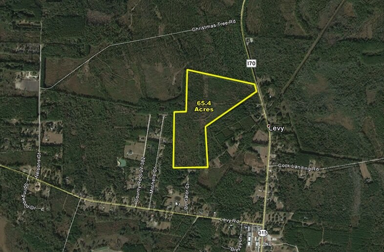 Hwy 170A, Hardeeville, SC for sale - Building Photo - Image 1 of 1