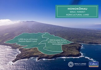 More details for Honokohau, Wailuku, HI - Land for Lease