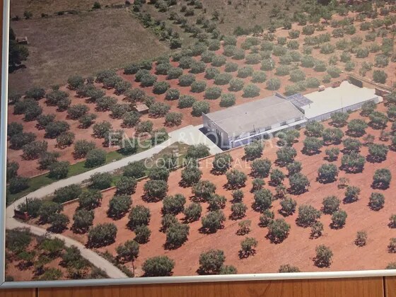 Industrial in Sant Quintí de Mediona, Barcelona for sale - Primary Photo - Image 1 of 6