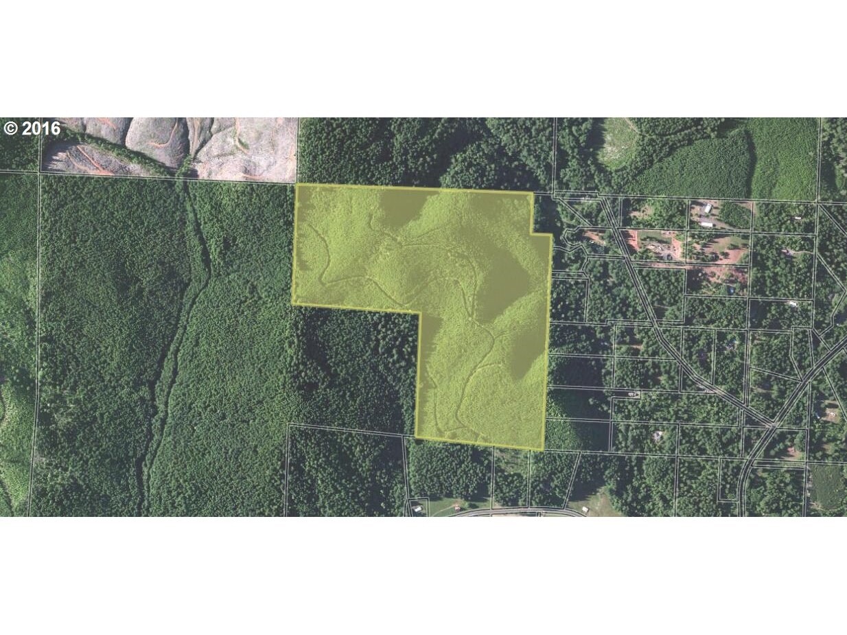 Hwy 126 & Cook Rd, Noti, OR for sale Primary Photo- Image 1 of 1