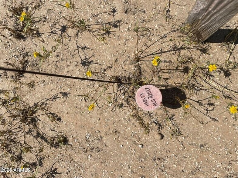 W Lone Cactus Rd & Sun Valley Pkwy & 219th Ave, Surprise, AZ for sale - Aerial - Image 3 of 4