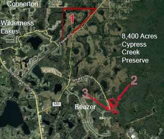 More details for Pines Blvd, Land O Lakes, FL - Land for Sale