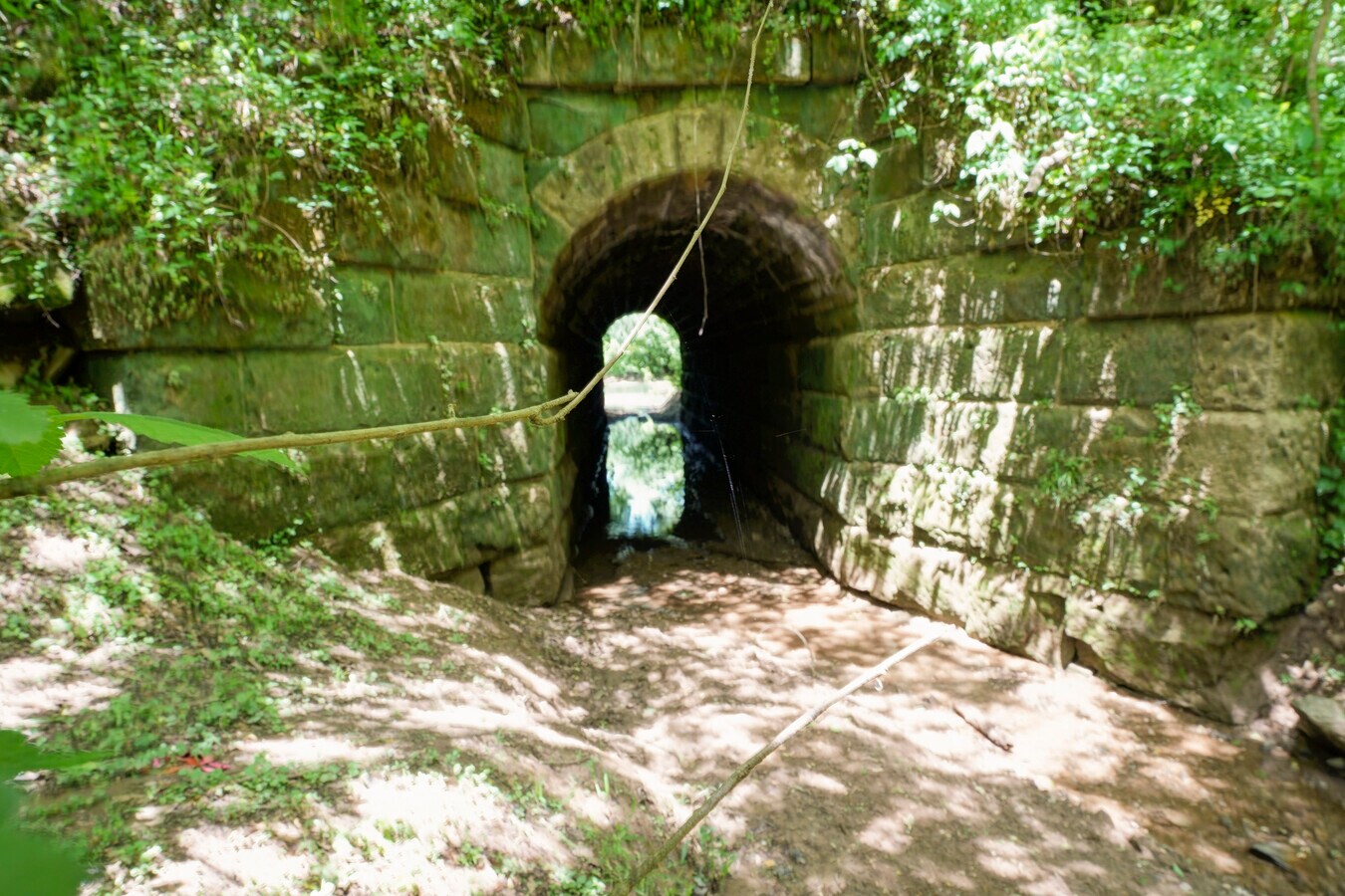 View Photo