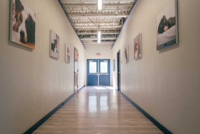 21725 Clay Rd, Katy, TX for sale - Building Photo - Image 3 of 20