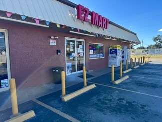More details for 38010 15th Ave, Zephyrhills, FL - Retail for Sale