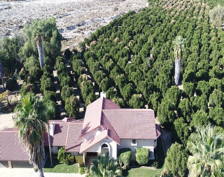 9348 Sapphire Ave, Mentone, CA 92359