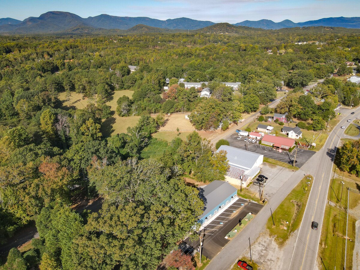 721 S Randolph Ave, Landrum, SC 29356 116 Grant Road Landrum SC 29356