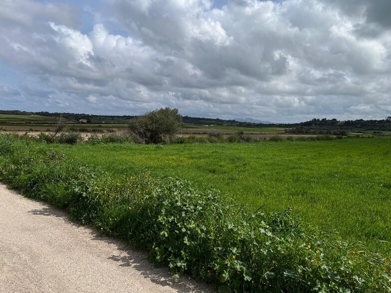 Land in Muro, Islas Baleares for sale - Building Photo - Image 3 of 4