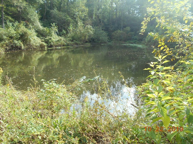 282 Tuckasee King Rd, Clyo, GA for sale - Other - Image 3 of 13