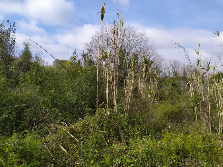 Carrer Coronel Oller, 14H, Vallmoll, Tarragona for sale - Construction Photo - Image 3 of 5