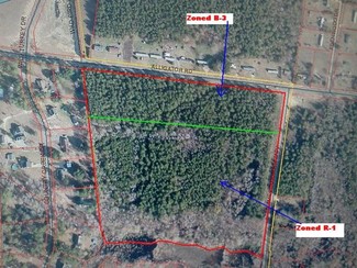 More details for SW Alligator Rd, Effingham, SC - Land for Lease