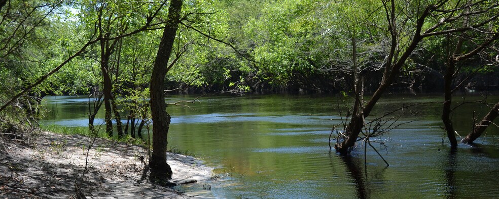 111 Limousine Lane, Bryceville, FL for sale - Primary Photo - Image 1 of 1