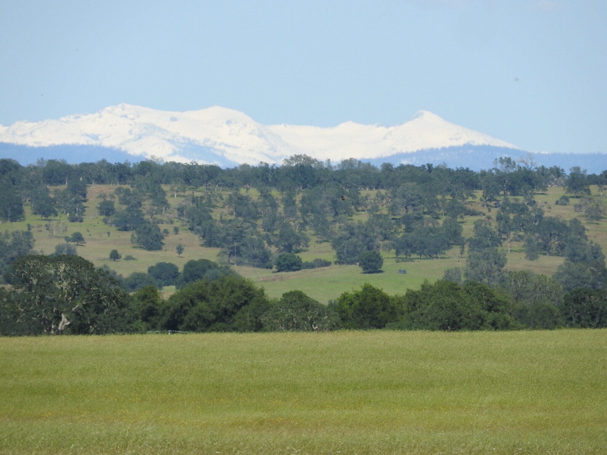 State Hwy 104, Ione, CA for sale Building Photo- Image 1 of 1