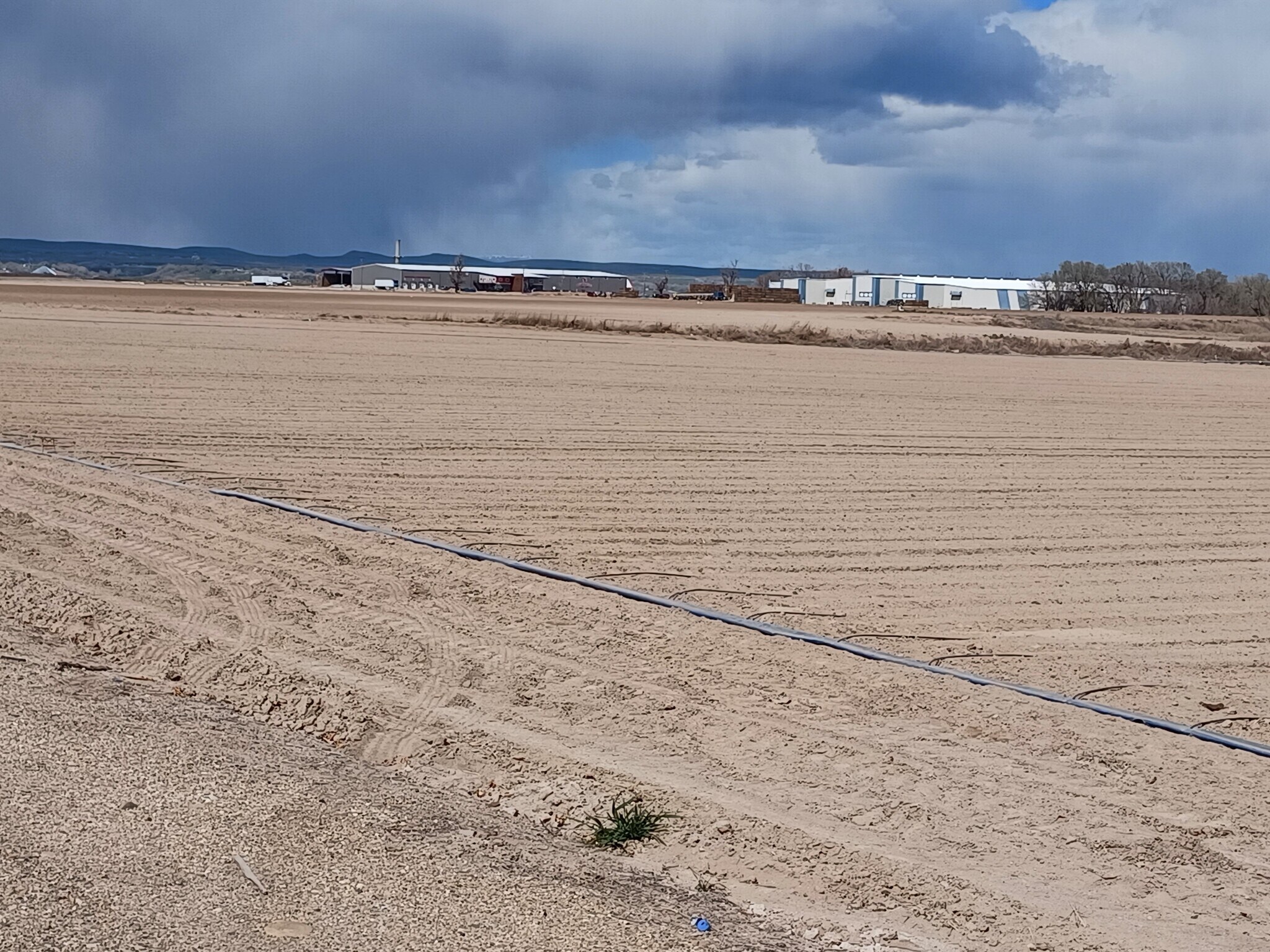 Locker Rd, Parma, ID for sale Primary Photo- Image 1 of 1