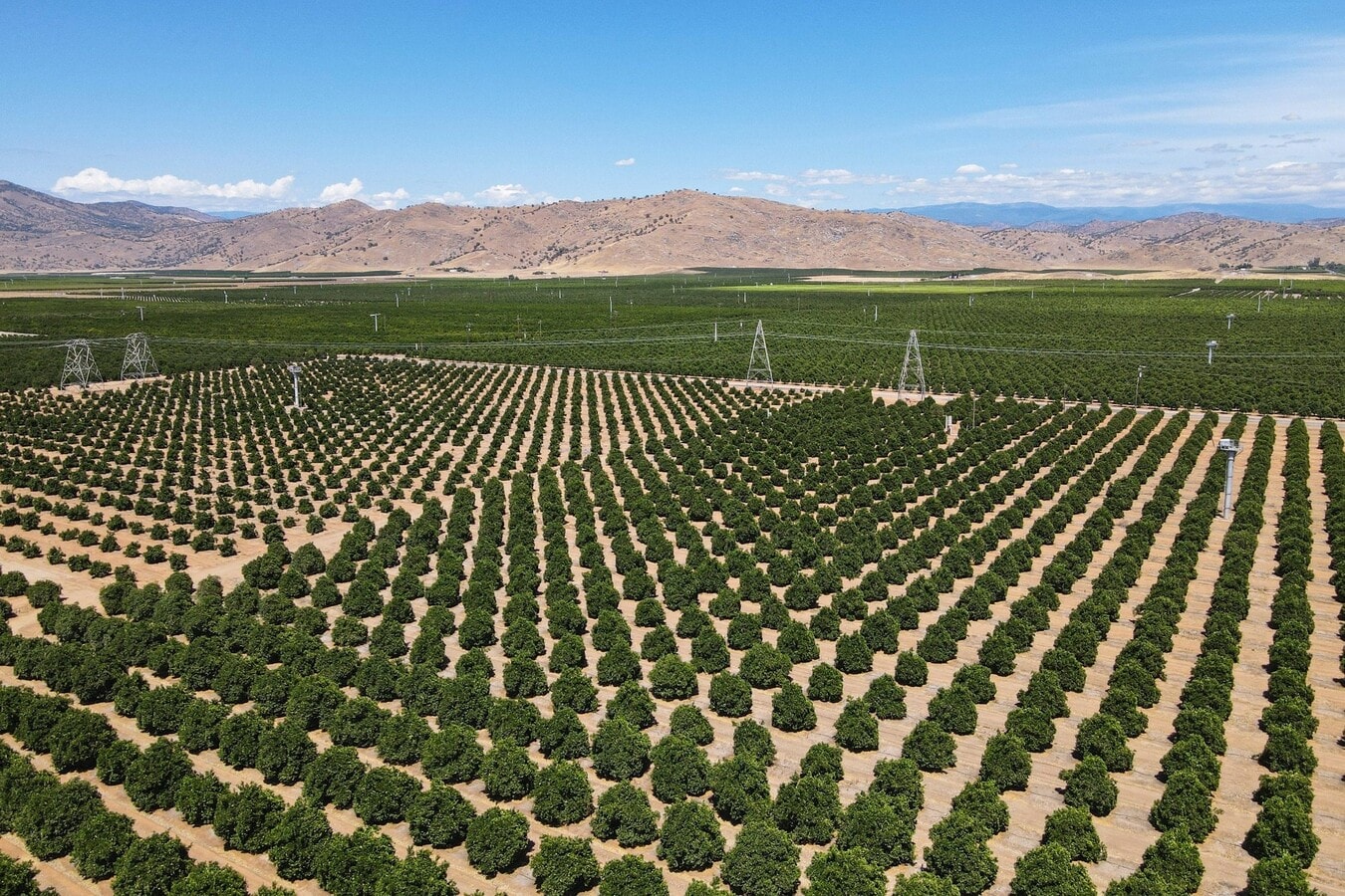 S. Anchor, Orange Cove, CA 93646