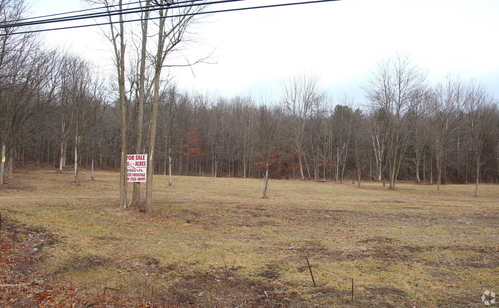 Route 32, Cairo, NY for sale Primary Photo- Image 1 of 1