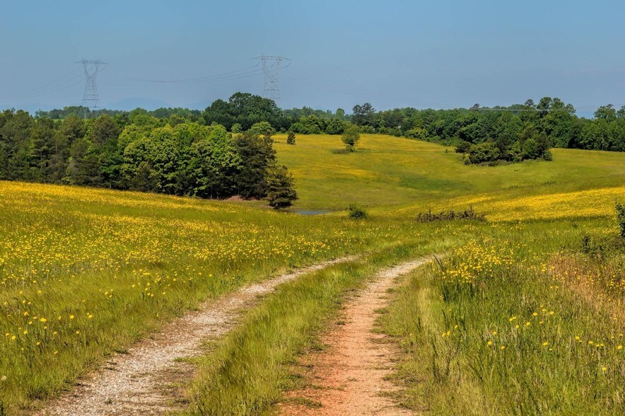 9056 Parris Bridge Rd, Chesnee, SC 29323