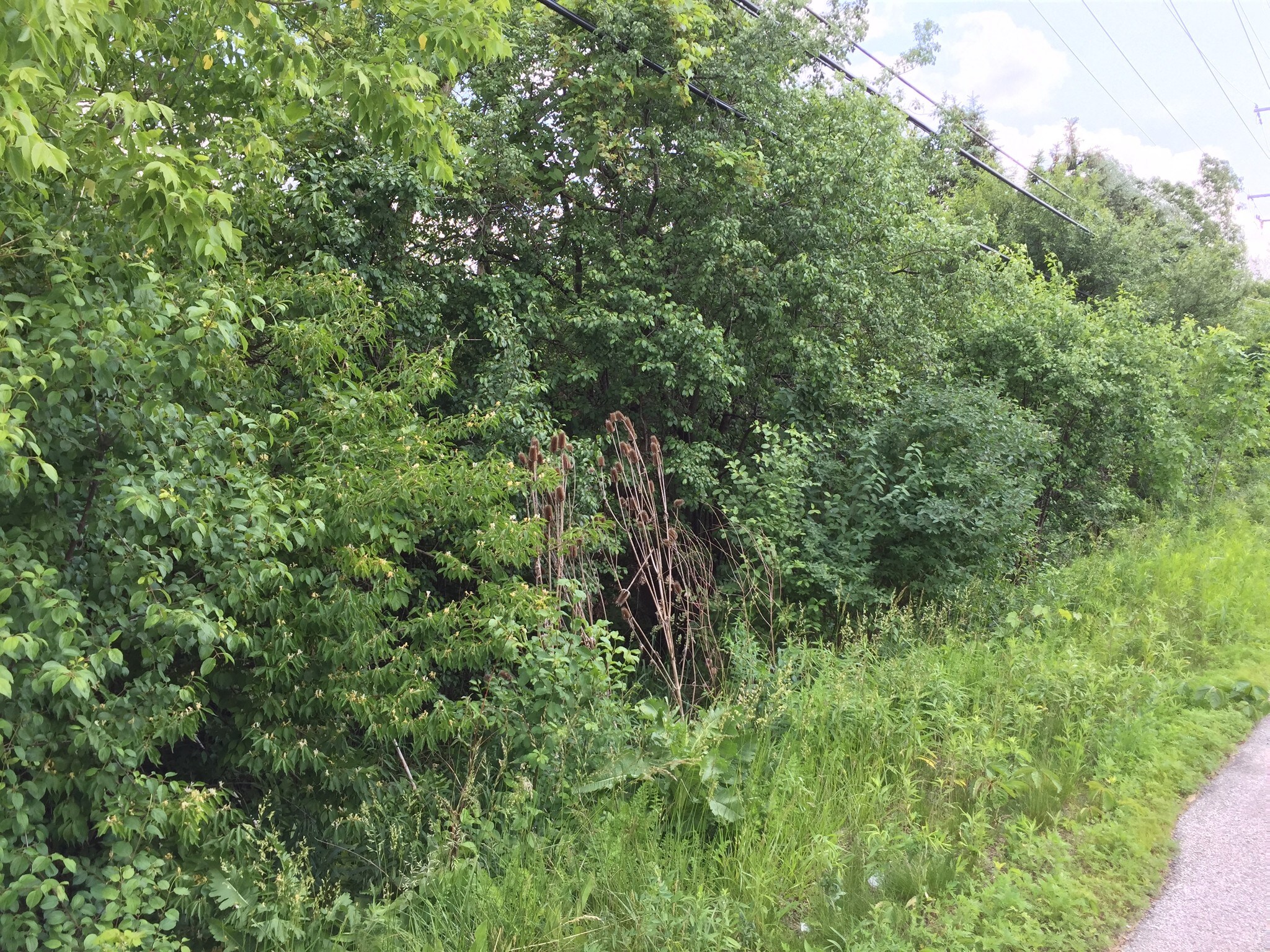 22825 N Prairie Rd, Prairie View, IL for sale Building Photo- Image 1 of 1