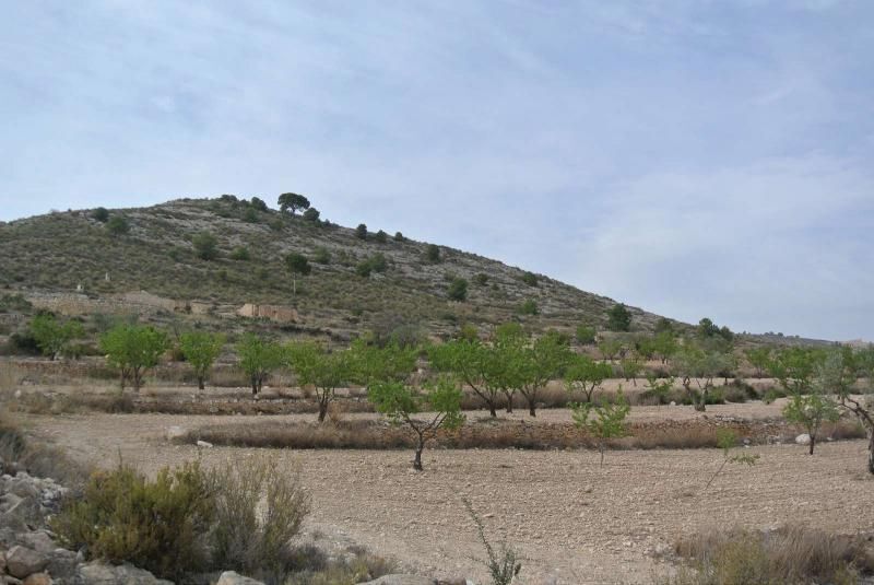Land in Jumilla for sale Building Photo- Image 1 of 16