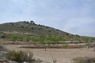 San Francisco, Jumilla, MUR - Aerial  map view - Image1