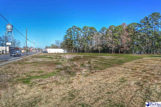 More details for 226 S Richardson St, Latta, SC - Land for Lease