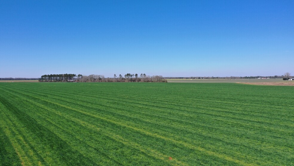 Lot 14 Davis Pond Rd rd, Atmore, AL for sale - Primary Photo - Image 1 of 12