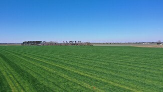 More details for Lot 14 Davis Pond Rd rd, Atmore, AL - Land for Sale