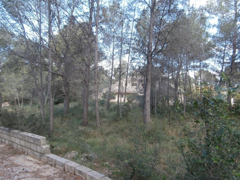 Planta, 118, Alzira, Valencia for sale - Building Photo - Image 3 of 3