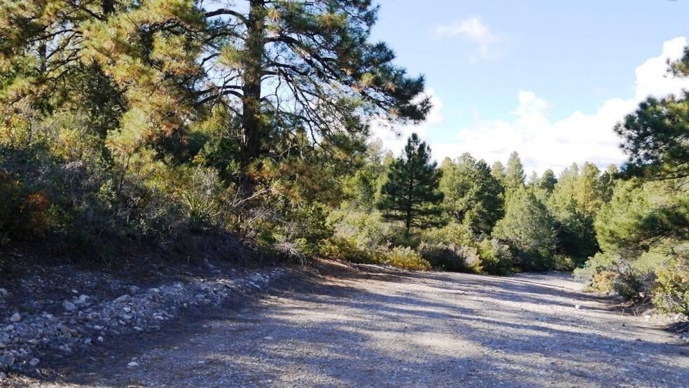 Quail Holw, Timberon, NM 88350