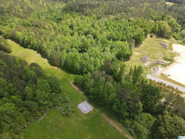 00 Highway 9, Heflin, AL for sale - Primary Photo - Image 1 of 12