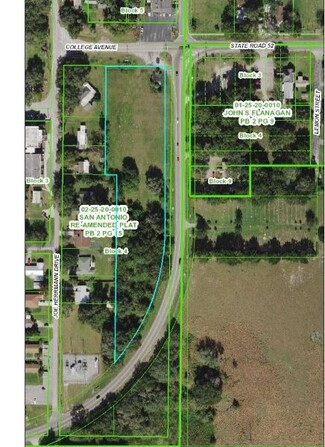 More details for 32946 College Ave, San Antonio, FL - Land for Sale